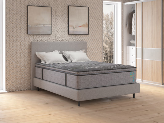 Taylor & Wells Sierra Cushion Pillow Top